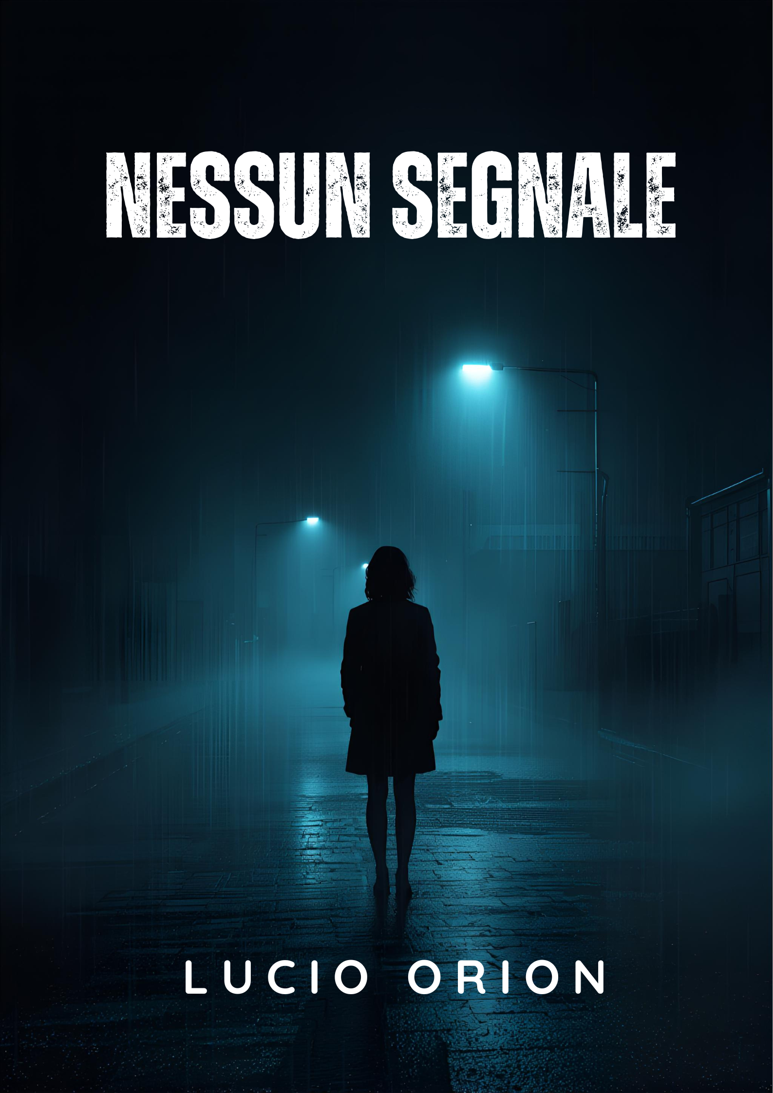 NESSUN SEGNALE Book Cover